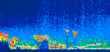 /calipso-imagery/data/BROWSE/production/V5-00/2019-08-01/2019-08-01_04-17-22_V5.00_1_thmb.png image missing