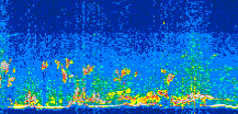 /calipso-imagery/data/BROWSE/production/V5-00/2019-08-01/2019-08-01_04-17-22_V5.00_3_thmb.png image missing
