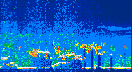 /calipso-imagery/data/BROWSE/production/V5-00/2019-08-01/2019-08-01_07-34-23_V5.00_4_thmb.png image missing