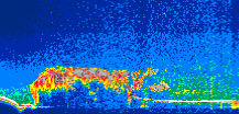 /calipso-imagery/data/BROWSE/production/V5-00/2019-08-01/2019-08-01_09-12-58_V5.00_1_thmb.png image missing