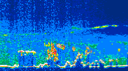 /calipso-imagery/data/BROWSE/production/V5-00/2019-08-01/2019-08-01_09-12-58_V5.00_4_thmb.png image missing