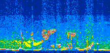 /calipso-imagery/data/BROWSE/production/V5-00/2019-08-01/2019-08-01_12-29-58_V5.00_3_thmb.png image missing