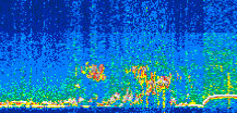 /calipso-imagery/data/BROWSE/production/V5-00/2019-08-01/2019-08-01_14-08-28_V5.00_3_thmb.png image missing