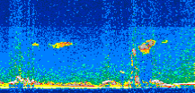 /calipso-imagery/data/BROWSE/production/V5-00/2019-08-01/2019-08-01_22-21-09_V5.00_2_thmb.png image missing