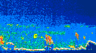 /calipso-imagery/data/BROWSE/production/V5-00/2019-08-01/2019-08-01_22-21-09_V5.00_4_thmb.png image missing