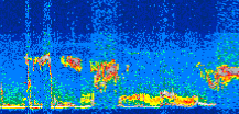 /calipso-imagery/data/BROWSE/production/V5-00/2019-08-07/2019-08-07_03-09-11_V5.00_3_thmb.png image missing
