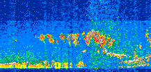 /calipso-imagery/data/BROWSE/production/V5-00/2019-08-07/2019-08-07_06-26-11_V5.00_2_thmb.png image missing