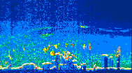 /calipso-imagery/data/BROWSE/production/V5-00/2019-08-07/2019-08-07_08-04-47_V5.00_4_thmb.png image missing