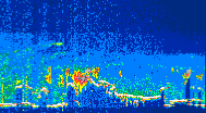 /calipso-imagery/data/BROWSE/production/V5-00/2019-08-07/2019-08-07_09-43-17_V5.00_4_thmb.png image missing