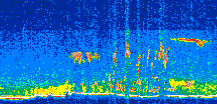 /calipso-imagery/data/BROWSE/production/V5-00/2019-08-07/2019-08-07_11-21-47_V5.00_2_thmb.png image missing