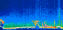 /calipso-imagery/data/BROWSE/production/V5-00/2019-08-07/2019-08-07_13-00-22_V5.00_1_thmb.png image missing