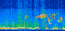 /calipso-imagery/data/BROWSE/production/V5-00/2019-08-07/2019-08-07_19-34-28_V5.00_2_thmb.png image missing