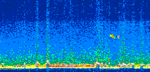 /calipso-imagery/data/BROWSE/production/V5-00/2019-08-07/2019-08-07_22-51-29_V5.00_2_thmb.png image missing