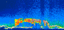 /calipso-imagery/data/BROWSE/production/V5-00/2019-08-09/2019-08-09_04-24-58_V5.00_1_thmb.png image missing