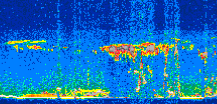 /calipso-imagery/data/BROWSE/production/V5-00/2019-08-09/2019-08-09_06-03-28_V5.00_2_thmb.png image missing