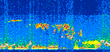 /calipso-imagery/data/BROWSE/production/V5-00/2019-08-09/2019-08-09_07-42-03_V5.00_2_thmb.png image missing
