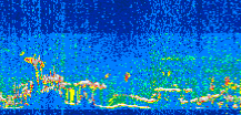 /calipso-imagery/data/BROWSE/production/V5-00/2019-08-09/2019-08-09_07-42-03_V5.00_3_thmb.png image missing