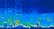 /calipso-imagery/data/BROWSE/production/V5-00/2019-08-09/2019-08-09_10-59-03_V5.00_4_thmb.png image missing