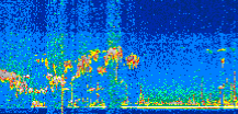 /calipso-imagery/data/BROWSE/production/V5-00/2019-09-01/2019-09-01_02-31-00_V5.00_2_thmb.png image missing