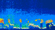 /calipso-imagery/data/BROWSE/production/V5-00/2019-09-01/2019-09-01_04-09-30_V5.00_4_thmb.png image missing