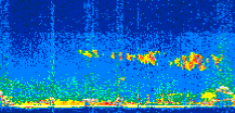 /calipso-imagery/data/BROWSE/production/V5-00/2019-09-01/2019-09-01_09-05-06_V5.00_2_thmb.png image missing