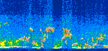 /calipso-imagery/data/BROWSE/production/V5-00/2019-09-01/2019-09-01_12-22-06_V5.00_3_thmb.png image missing