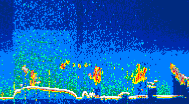 /calipso-imagery/data/BROWSE/production/V5-00/2019-09-01/2019-09-01_14-00-42_V5.00_4_thmb.png image missing