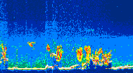 /calipso-imagery/data/BROWSE/production/V5-00/2019-09-01/2019-09-01_15-39-12_V5.00_4_thmb.png image missing