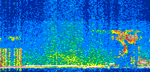 /calipso-imagery/data/BROWSE/production/V5-00/2019-09-01/2019-09-01_18-56-12_V5.00_2_thmb.png image missing