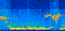 /calipso-imagery/data/BROWSE/production/V5-00/2019-09-01/2019-09-01_22-13-18_V5.00_2_thmb.png image missing