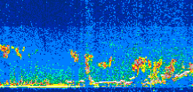 /calipso-imagery/data/BROWSE/production/V5-00/2019-09-01/2019-09-01_23-51-48_V5.00_3_thmb.png image missing