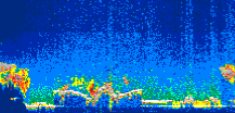 /calipso-imagery/data/BROWSE/production/V5-00/2019-09-04/2019-09-04_01-07-29_V5.00_1_thmb.png image missing
