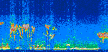 /calipso-imagery/data/BROWSE/production/V5-00/2019-09-04/2019-09-04_02-46-05_V5.00_3_thmb.png image missing