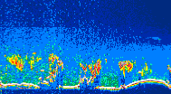 /calipso-imagery/data/BROWSE/production/V5-00/2019-09-04/2019-09-04_06-03-05_V5.00_4_thmb.png image missing