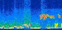 /calipso-imagery/data/BROWSE/production/V5-00/2019-09-04/2019-09-04_09-20-10_V5.00_2_thmb.png image missing