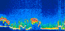 /calipso-imagery/data/BROWSE/production/V5-00/2019-09-04/2019-09-04_15-54-16_V5.00_1_thmb.png image missing