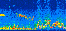 /calipso-imagery/data/BROWSE/production/V5-00/2019-09-04/2019-09-04_17-32-47_V5.00_3_thmb.png image missing