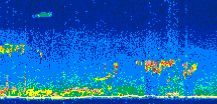 /calipso-imagery/data/BROWSE/production/V5-00/2019-09-04/2019-09-04_19-11-17_V5.00_3_thmb.png image missing