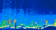 /calipso-imagery/data/BROWSE/production/V5-00/2019-09-06/2019-09-06_05-40-16_V5.00_4_thmb.png image missing