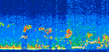/calipso-imagery/data/BROWSE/production/V5-00/2019-09-07/2019-09-07_01-22-34_V5.00_3_thmb.png image missing