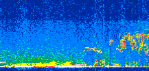 /calipso-imagery/data/BROWSE/production/V5-00/2019-09-07/2019-09-07_04-39-40_V5.00_2_thmb.png image missing