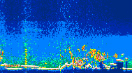 /calipso-imagery/data/BROWSE/production/V5-00/2019-09-07/2019-09-07_11-13-45_V5.00_4_thmb.png image missing