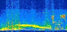/calipso-imagery/data/BROWSE/production/V5-00/2019-09-07/2019-09-07_12-52-16_V5.00_2_thmb.png image missing