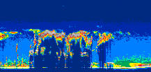 /calipso-imagery/data/BROWSE/production/V5-00/2019-09-07/2019-09-07_15-23-06_V5.00_2_thmb.png image missing