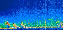 /calipso-imagery/data/BROWSE/production/V5-00/2019-09-08/2019-09-08_03-38-58_V5.00_1_thmb.png image missing