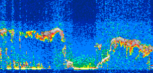 /calipso-imagery/data/BROWSE/production/V5-00/2019-09-08/2019-09-08_03-38-58_V5.00_3_thmb.png image missing