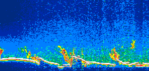 /calipso-imagery/data/BROWSE/production/V5-00/2019-09-08/2019-09-08_10-13-03_V5.00_1_thmb.png image missing