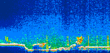 /calipso-imagery/data/BROWSE/production/V5-00/2019-09-08/2019-09-08_15-08-39_V5.00_1_thmb.png image missing