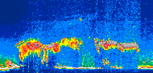 /calipso-imagery/data/BROWSE/production/V5-00/2019-09-08/2019-09-08_21-42-45_V5.00_1_thmb.png image missing