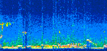 /calipso-imagery/data/BROWSE/production/V5-00/2019-09-08/2019-09-08_21-42-45_V5.00_3_thmb.png image missing